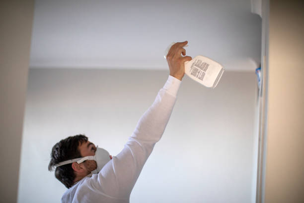 Best Water Damage Restoration  in Cedar Crest, MA